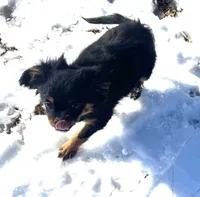 processed/0c7100a5-2661-44e7-8544-016b1b5a3388/listing/0b67b34b-9253-40ad-b206-7896148b4652/936b45ca-807b-4872-ae71-4cb265278464