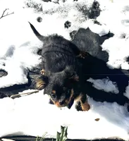 processed/0c7100a5-2661-44e7-8544-016b1b5a3388/listing/0b67b34b-9253-40ad-b206-7896148b4652/f42b8dd4-9d21-4b29-9216-21a7f8696af1