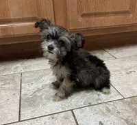 processed/0c7100a5-2661-44e7-8544-016b1b5a3388/listing/0f273a88-cabc-4279-9fc2-c667aac2c049/568f3ed1-0960-451e-8095-6964f1a74734