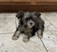 processed/0c7100a5-2661-44e7-8544-016b1b5a3388/listing/0f273a88-cabc-4279-9fc2-c667aac2c049/8a5c2232-9e67-4086-a22b-632af9bc225b