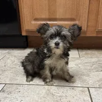 processed/0c7100a5-2661-44e7-8544-016b1b5a3388/listing/0f273a88-cabc-4279-9fc2-c667aac2c049/e6125937-c548-4cee-8981-045a8a003651