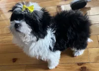 processed/0c7100a5-2661-44e7-8544-016b1b5a3388/listing/5ed3b03a-cf69-4601-a0f4-46808059849f/2c2c0ce8-3f1d-4709-9084-1331bb671403