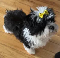 processed/0c7100a5-2661-44e7-8544-016b1b5a3388/listing/5ed3b03a-cf69-4601-a0f4-46808059849f/5cb1ca12-422e-453a-9d1f-c3e3bcd1f384