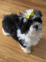 processed/0c7100a5-2661-44e7-8544-016b1b5a3388/listing/5ed3b03a-cf69-4601-a0f4-46808059849f/62292b33-b5a5-4ce7-a7fa-027719cf35d2