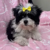 processed/0c7100a5-2661-44e7-8544-016b1b5a3388/listing/5ed3b03a-cf69-4601-a0f4-46808059849f/6616d536-4de3-42f5-98eb-654a76cfd1f2