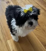 processed/0c7100a5-2661-44e7-8544-016b1b5a3388/listing/5ed3b03a-cf69-4601-a0f4-46808059849f/b7bb581f-aeed-4238-a34f-93d023ae548c