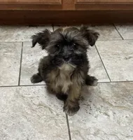 processed/0c7100a5-2661-44e7-8544-016b1b5a3388/listing/983cf625-d5e0-4246-a3ca-ffcfcde9eb33/2b330a33-c252-4f9c-be37-01d59a0f0af5