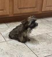 processed/0c7100a5-2661-44e7-8544-016b1b5a3388/listing/983cf625-d5e0-4246-a3ca-ffcfcde9eb33/5ff4ae58-8c5a-4524-9189-4a95077bb8eb