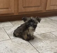 processed/0c7100a5-2661-44e7-8544-016b1b5a3388/listing/983cf625-d5e0-4246-a3ca-ffcfcde9eb33/6e62ca74-6338-451a-b52f-157a3655b7fc