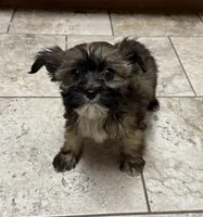 processed/0c7100a5-2661-44e7-8544-016b1b5a3388/listing/983cf625-d5e0-4246-a3ca-ffcfcde9eb33/a0e63834-c81d-4524-bb84-f390ae7c2e17