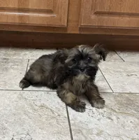 processed/0c7100a5-2661-44e7-8544-016b1b5a3388/listing/983cf625-d5e0-4246-a3ca-ffcfcde9eb33/c4f200b2-2648-46a6-a78c-bb650f9cdff7