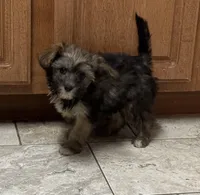 processed/0c7100a5-2661-44e7-8544-016b1b5a3388/listing/ed5a54c9-c1c4-4157-b208-2c468533a3fa/134bf7db-3869-48f5-9dd7-44da0aec1422