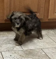 processed/0c7100a5-2661-44e7-8544-016b1b5a3388/listing/ed5a54c9-c1c4-4157-b208-2c468533a3fa/5ebf9772-cc91-4665-9ba7-a0f8b52c820b