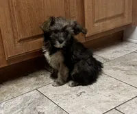 processed/0c7100a5-2661-44e7-8544-016b1b5a3388/listing/ed5a54c9-c1c4-4157-b208-2c468533a3fa/72057989-21d2-4cca-a078-1d369fc13de4