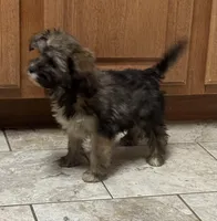 processed/0c7100a5-2661-44e7-8544-016b1b5a3388/listing/ed5a54c9-c1c4-4157-b208-2c468533a3fa/a040bcdb-4a77-4229-b28e-55e211b76dbe