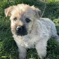 processed/0c721bb5-d6b8-4916-889b-c67a85bcf2a9/facility/37bbd4f3-994c-4ac4-ad8e-d820d7e6c581