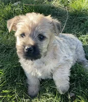 processed/0c721bb5-d6b8-4916-889b-c67a85bcf2a9/facility/37bbd4f3-994c-4ac4-ad8e-d820d7e6c581