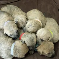 processed/0c721bb5-d6b8-4916-889b-c67a85bcf2a9/facility/45add544-402b-404a-b449-9a04ec6b0ffa