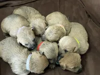 processed/0c721bb5-d6b8-4916-889b-c67a85bcf2a9/facility/45add544-402b-404a-b449-9a04ec6b0ffa