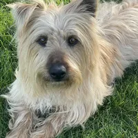 processed/0c721bb5-d6b8-4916-889b-c67a85bcf2a9/facility/8d7fa5dc-db63-4710-a0bd-faeb3bfd8d2b