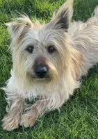 processed/0c721bb5-d6b8-4916-889b-c67a85bcf2a9/facility/8d7fa5dc-db63-4710-a0bd-faeb3bfd8d2b