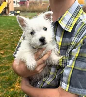 processed/0c721bb5-d6b8-4916-889b-c67a85bcf2a9/listing/8c14df4d-f114-4f59-9ce1-0313a9a4604d/1ecd1ec8-39f9-42ee-b317-a98760f48fd3