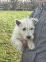 processed/0c721bb5-d6b8-4916-889b-c67a85bcf2a9/listing/8c14df4d-f114-4f59-9ce1-0313a9a4604d/f1f07386-be58-4c49-9e0e-fd124d2ee312