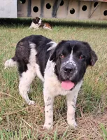 processed/0c74b428-ec21-4c61-a342-d23f20cd6789/listing/1a2bbc15-9d95-49b7-bda3-14d82249b766/a68488b3-2ab8-45f5-9a36-2784cc4da3c5