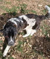 processed/0c74b428-ec21-4c61-a342-d23f20cd6789/listing/1a2bbc15-9d95-49b7-bda3-14d82249b766/c34c2b46-de93-429c-81bf-ed171064fd2a