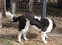 processed/0c74b428-ec21-4c61-a342-d23f20cd6789/listing/1a2bbc15-9d95-49b7-bda3-14d82249b766/d8650a61-1dfc-4b90-9f3b-71337dceb702