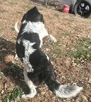 processed/0c74b428-ec21-4c61-a342-d23f20cd6789/listing/1a2bbc15-9d95-49b7-bda3-14d82249b766/ee830fae-79f0-403a-addb-69ad5936dd8a