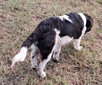 processed/0c74b428-ec21-4c61-a342-d23f20cd6789/listing/1a2bbc15-9d95-49b7-bda3-14d82249b766/f232dcd5-506c-43b5-bcf7-6f84b7a99276