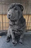 processed/0c74b428-ec21-4c61-a342-d23f20cd6789/listing/29f8fd55-7d9e-4cea-8e9a-a9640063bb57/019a12c5-f211-4095-bb8a-c167b018e769