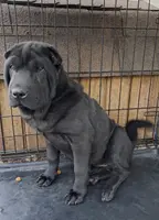 processed/0c74b428-ec21-4c61-a342-d23f20cd6789/listing/29f8fd55-7d9e-4cea-8e9a-a9640063bb57/b8c9c2f5-a11f-4016-9f38-bf1e6e9ba250