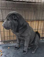 processed/0c74b428-ec21-4c61-a342-d23f20cd6789/listing/29f8fd55-7d9e-4cea-8e9a-a9640063bb57/f8d0e494-bc7d-4f86-9814-5a5e6a786a00