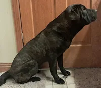 processed/0c74b428-ec21-4c61-a342-d23f20cd6789/listing/5d20f044-5530-473e-bfc0-9150e021b9d8/36ae57cb-1c05-40aa-a71c-a264e716bafb