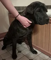 processed/0c74b428-ec21-4c61-a342-d23f20cd6789/listing/5d20f044-5530-473e-bfc0-9150e021b9d8/886f921b-b0bf-44bf-b487-3b600008b387