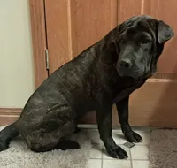 processed/0c74b428-ec21-4c61-a342-d23f20cd6789/listing/5d20f044-5530-473e-bfc0-9150e021b9d8/8feb3054-772b-453f-a8e6-152f32a3412b