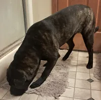 processed/0c74b428-ec21-4c61-a342-d23f20cd6789/listing/5d20f044-5530-473e-bfc0-9150e021b9d8/edb4f68e-b2ad-4ef2-b905-9171f3c5f070