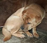 processed/0c74b428-ec21-4c61-a342-d23f20cd6789/listing/5ed70f40-d5bc-443f-ae35-4cbbd192dec8/a36b87ef-a59a-4693-b650-fed4037406ca