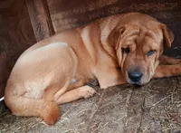 processed/0c74b428-ec21-4c61-a342-d23f20cd6789/listing/5ed70f40-d5bc-443f-ae35-4cbbd192dec8/a96846b2-3b2d-4a5b-9fa7-428b038ef57e