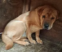 processed/0c74b428-ec21-4c61-a342-d23f20cd6789/listing/5ed70f40-d5bc-443f-ae35-4cbbd192dec8/b38f2d64-9405-4591-b1b3-33fcb4018aef