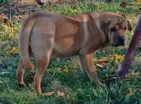 processed/0c74b428-ec21-4c61-a342-d23f20cd6789/listing/5ed70f40-d5bc-443f-ae35-4cbbd192dec8/e6831128-f0bc-4035-8087-0bd4f7d577d9