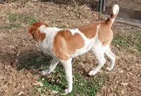 processed/0c74b428-ec21-4c61-a342-d23f20cd6789/listing/bdeb8fee-d491-4b5c-952d-8ba4d77616dd/3937a407-0f28-41ea-b74a-a058984f4608