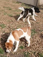 processed/0c74b428-ec21-4c61-a342-d23f20cd6789/listing/bdeb8fee-d491-4b5c-952d-8ba4d77616dd/5803ccd0-8c6d-450d-b6c2-3930edd3f53a