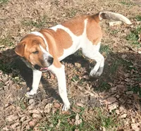 processed/0c74b428-ec21-4c61-a342-d23f20cd6789/listing/bdeb8fee-d491-4b5c-952d-8ba4d77616dd/58be841c-c19a-4496-9a05-c29eac9df44f