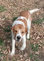 processed/0c74b428-ec21-4c61-a342-d23f20cd6789/listing/bdeb8fee-d491-4b5c-952d-8ba4d77616dd/c9f46bb5-198c-433f-9515-defcb56a50f2