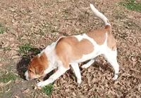 processed/0c74b428-ec21-4c61-a342-d23f20cd6789/listing/bdeb8fee-d491-4b5c-952d-8ba4d77616dd/d3f9fd1f-ce3e-4d24-ab66-d5e902d3a15e