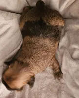 processed/0c782ca2-ee84-499a-b0f7-cdddc516c4e5/listing/0a4f783d-e806-446f-ade0-114c4e9d624e/029d36ea-4760-4d67-b306-2a9698010418