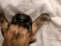 processed/0c782ca2-ee84-499a-b0f7-cdddc516c4e5/listing/0a4f783d-e806-446f-ade0-114c4e9d624e/b289c144-4a5e-41cd-bba9-eb61fe7d34b9